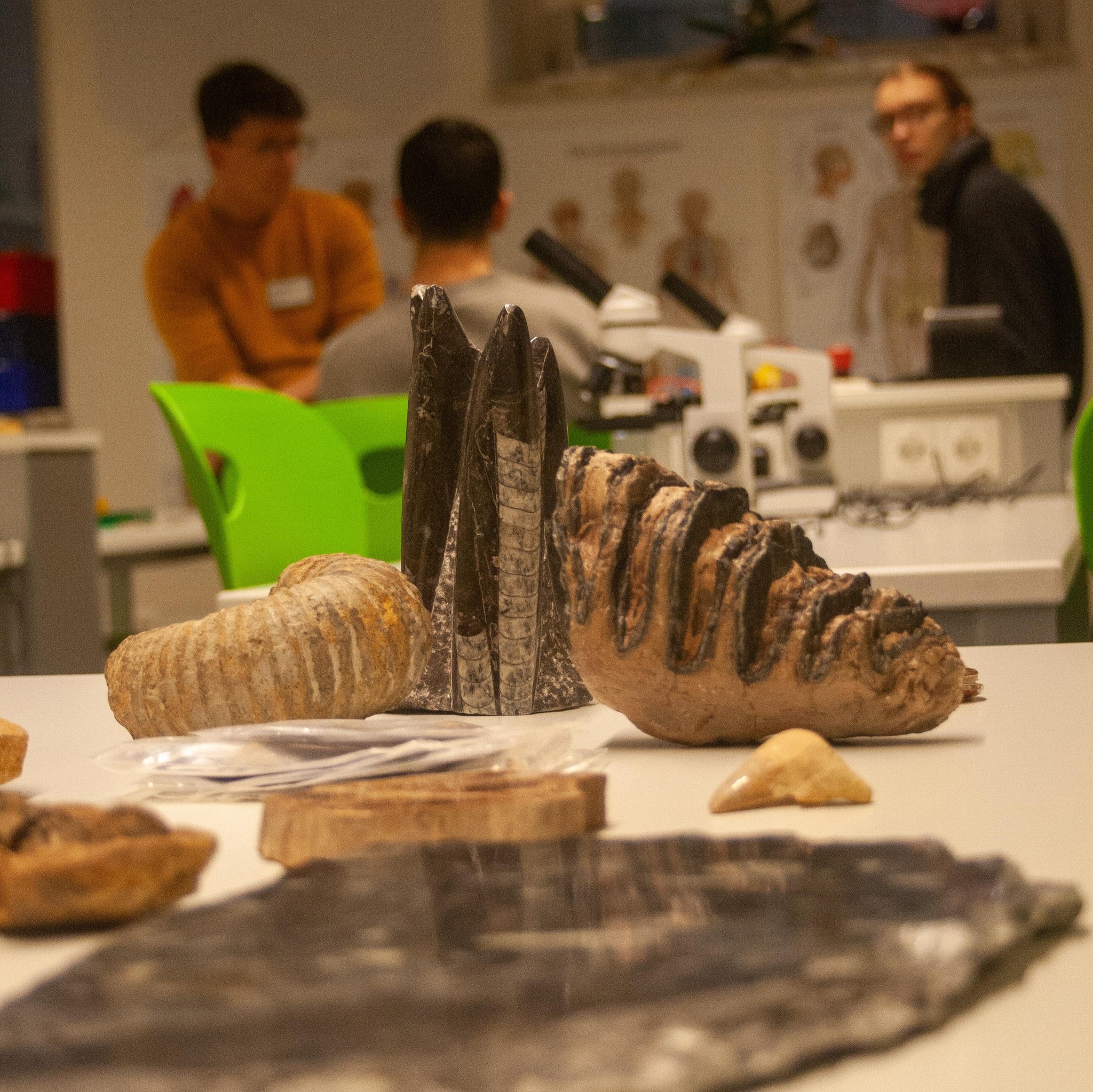 Wintermarkt 2025 des Phönix Realgymnasium 1110 Wien